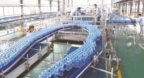 喜報(bào)！大豐榮登第二批國(guó)家全域旅游示范區(qū)名單，擘畫文旅發(fā)展新藍(lán)圖